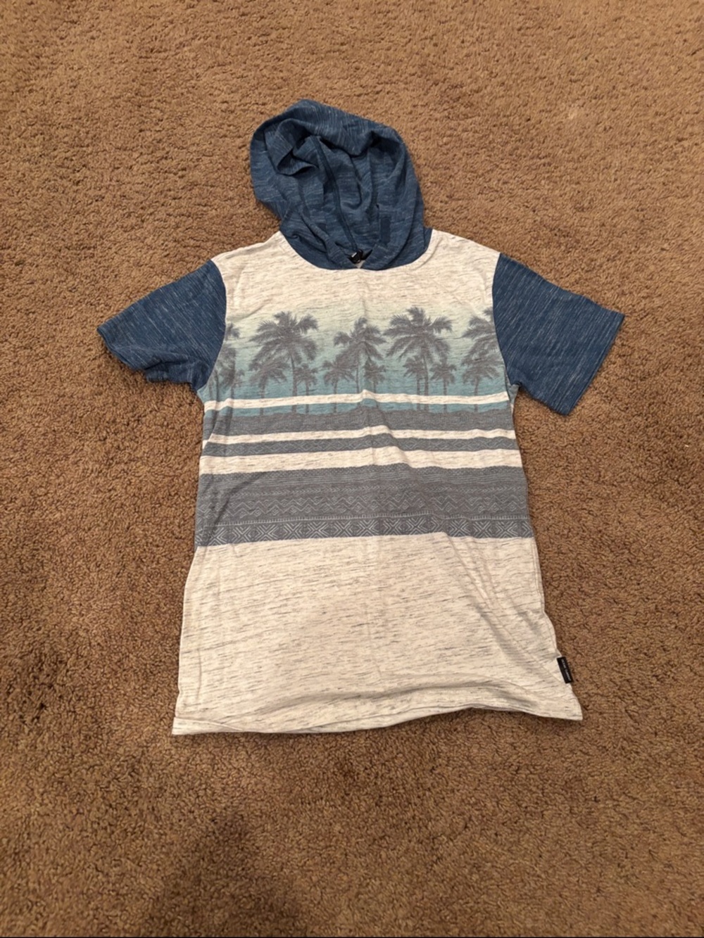 Ocean Current Boys Hooded Tee in Blue and Gray with Palm Graphic